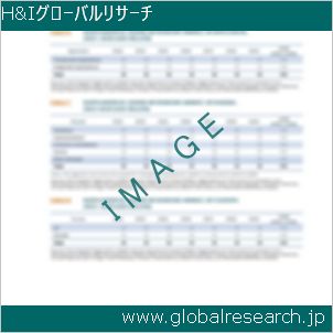 グローバルリサーチ調査レポートのイメージ